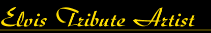 Elvis Tribute Artist
